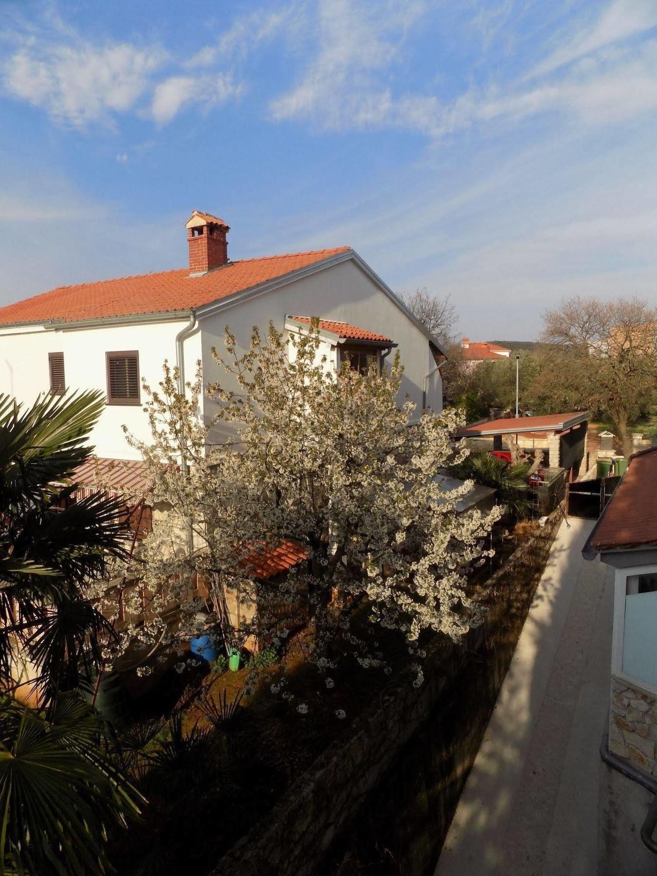 Rooms And Apartment Feral Rovinj Luaran gambar